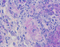 //rjrorwxhrkjnlj5q-static.micyjz.com/cloud/ljBpjKnjlkSRqimpqmmoim/G1047-100ML-60-60.jpg